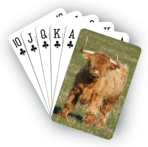 Playing Cards - Highland Cow