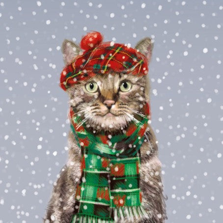 Christmas Card Pack - Tam O' Shanter Cat